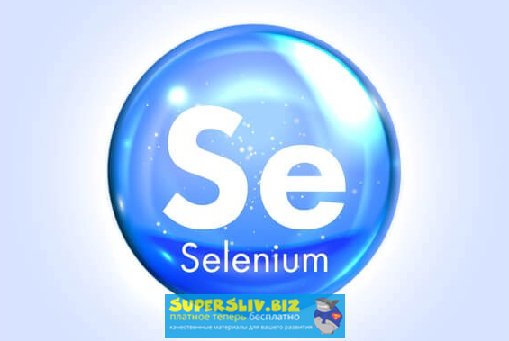 [Алексей Баранцев] Selenium IDE 3_ стартовый урове_0.png
